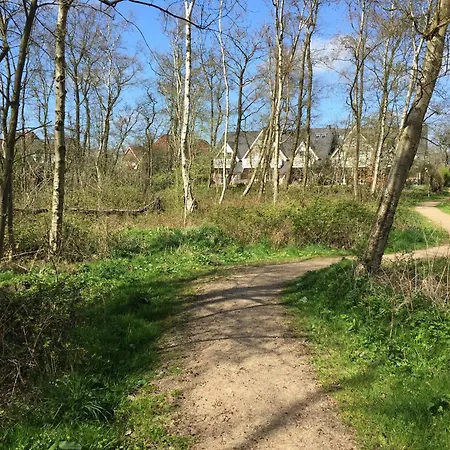 Urlaubsdomizil Strandhafer Duenenhof Apartamento Böhl