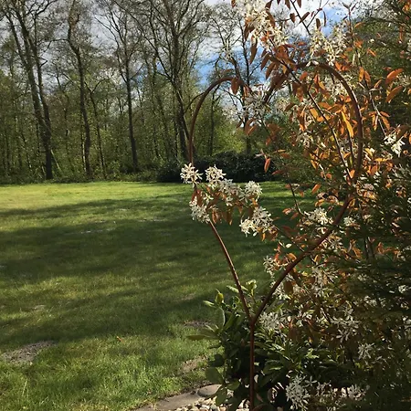 Lejlighed Urlaubsdomizil Strandhafer Duenenhof